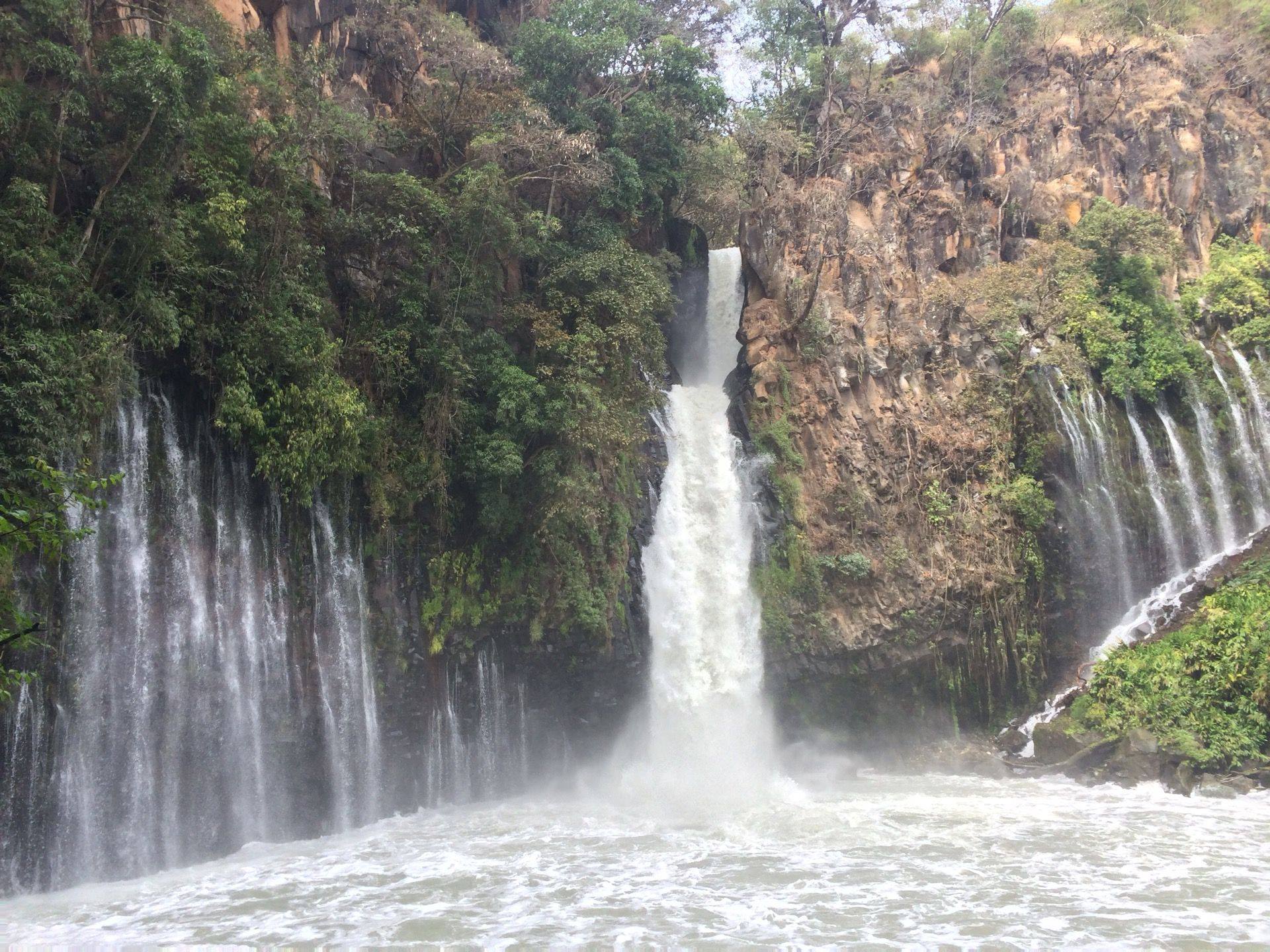 Llegó la temporada de conocer y disfrutar de un recorrido ecoturístico ...