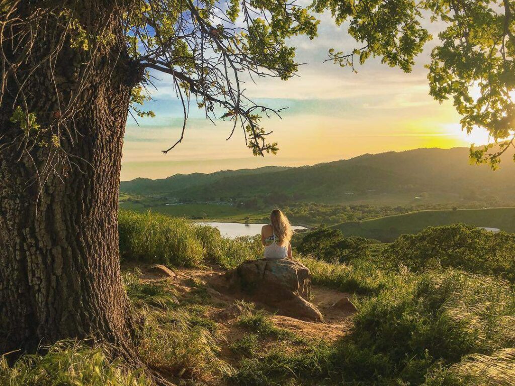 CALIFORNIA INVITA A DESCUBRIR RINCONES Y EXPERIENCIAS SIMILARES A DESTINOS FAMOSOS DE EU Y EL MUNDO